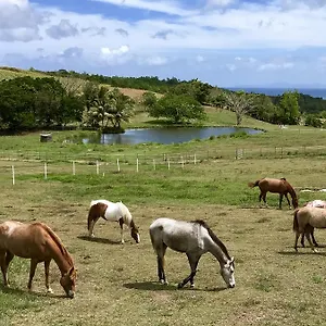 Hébergement de vacances La Ferme Des Etangs