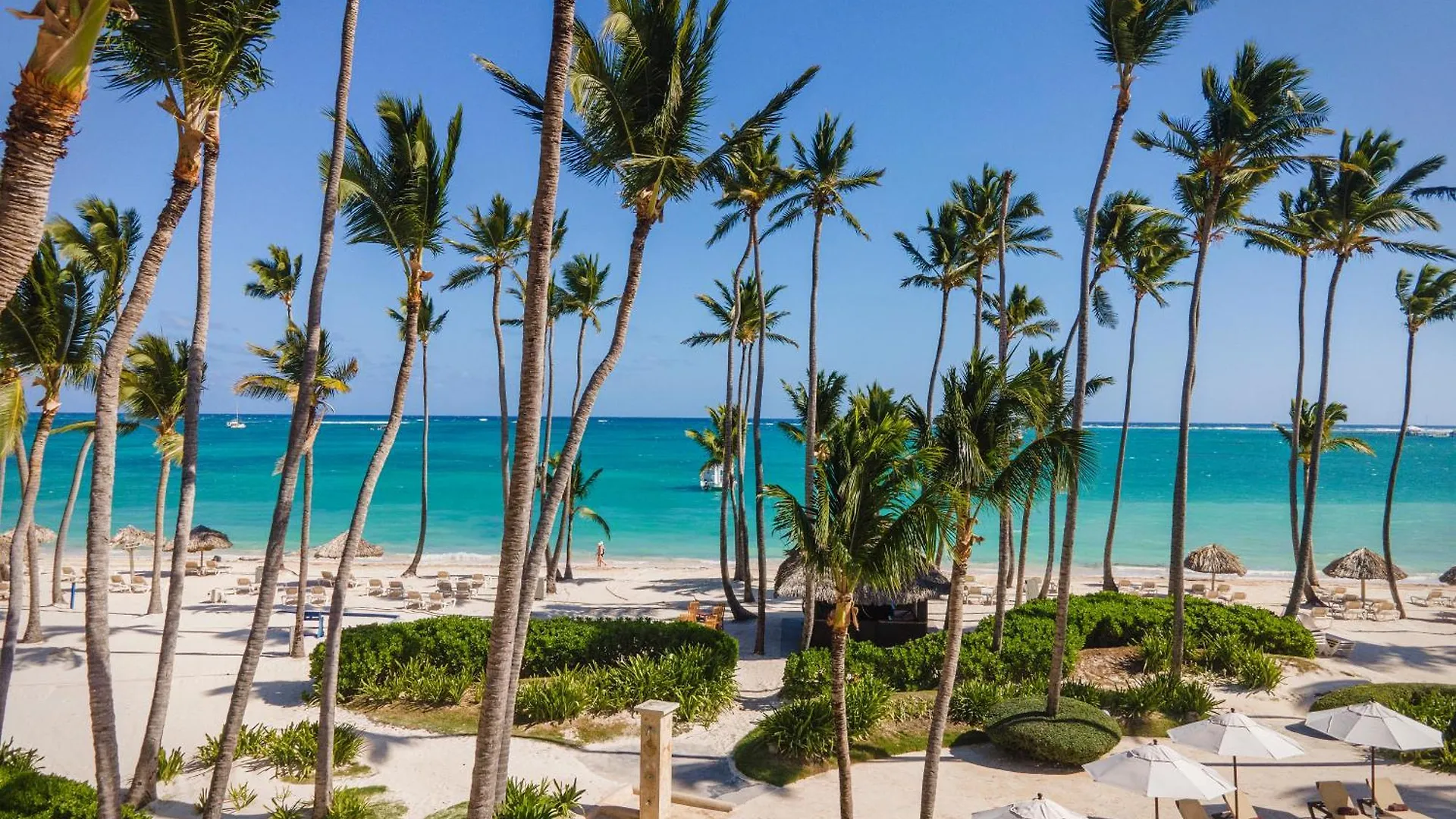 ***** Resort Jewel Palm Beach Hotel Punta Cana Dominicaanse Republiek